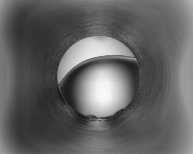 X0000088900288200706080833