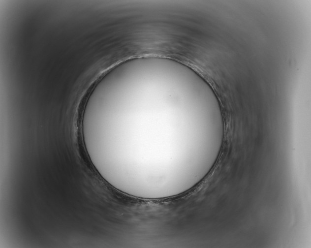 X0000088900290200706080832