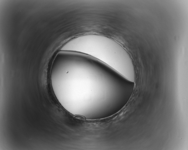 X0000088900291200706080832