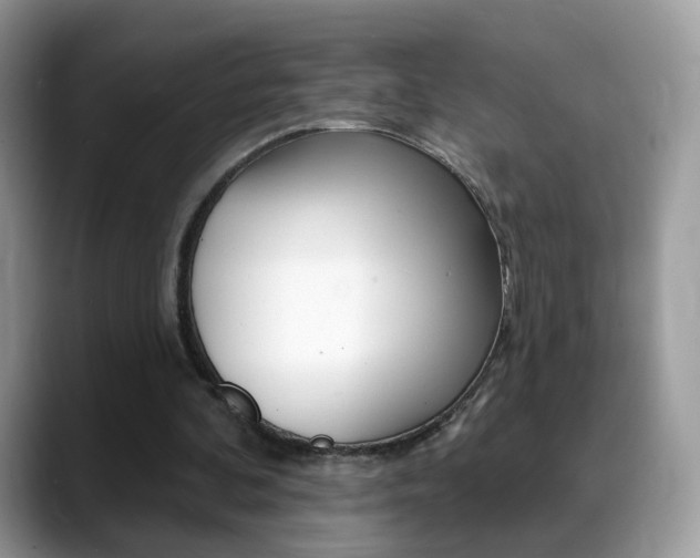 X0000088900292200706080832