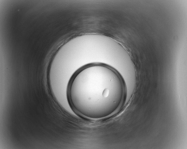 X0000088900293200706080832