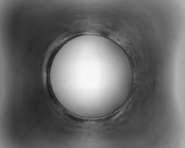 X0000088900294200706080832