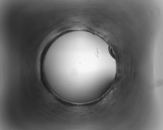 X0000088900296200706080832