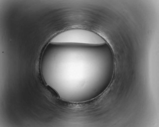 X0000088900297200706080832