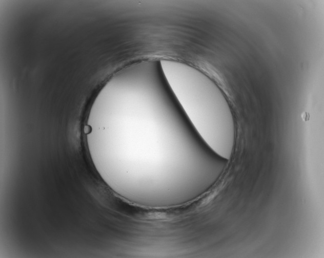 X0000088900298200706080832