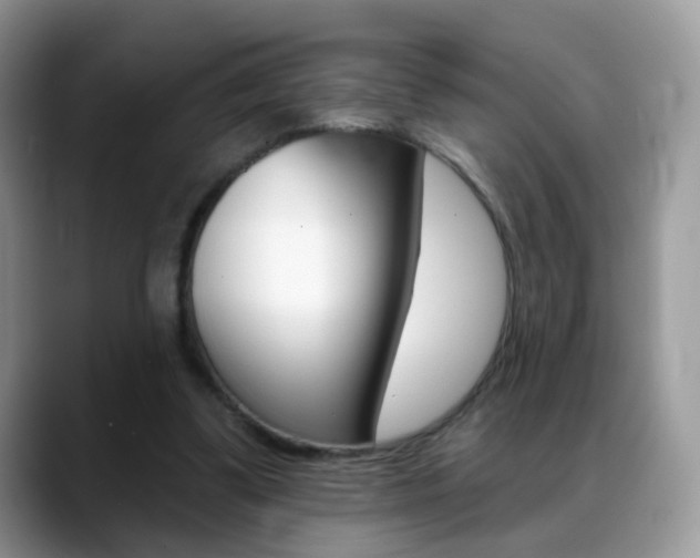 X0000088900299200706080832
