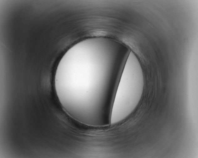 X0000088900300200706080832