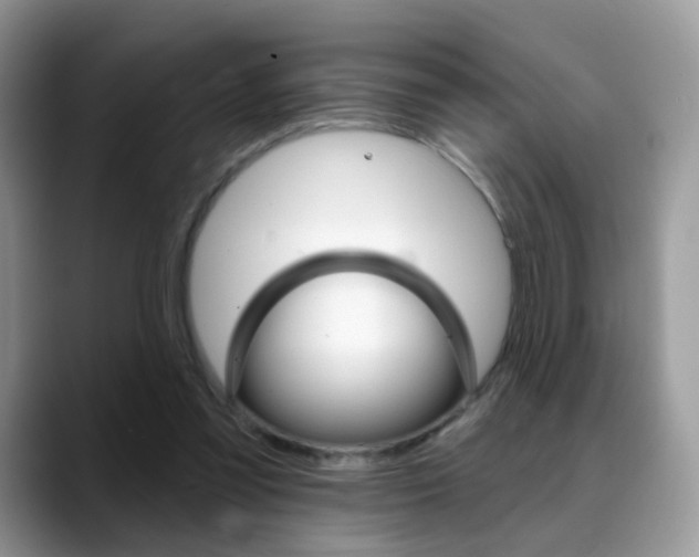 X0000088900301200706080832