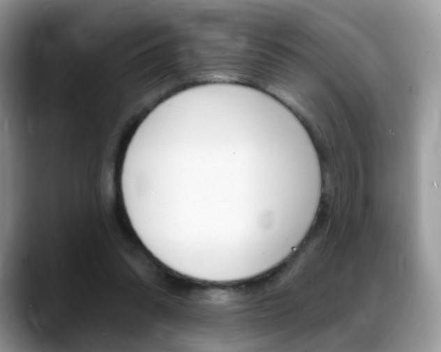 X0000088900302200706080832