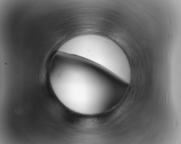 X0000088900304200706080832