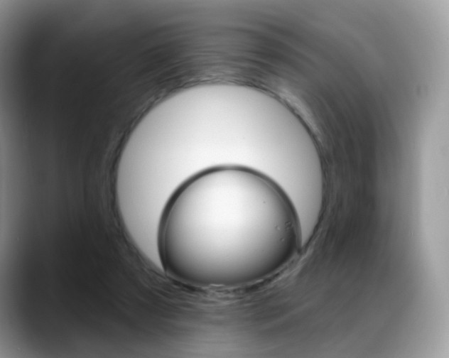 X0000088900305200706080832