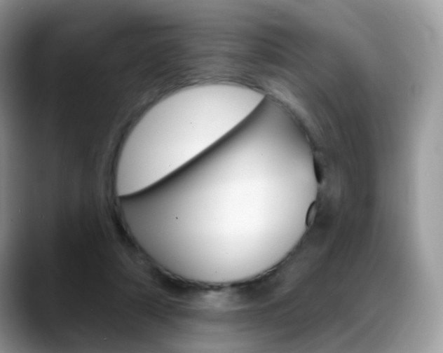 X0000088900306200706080832