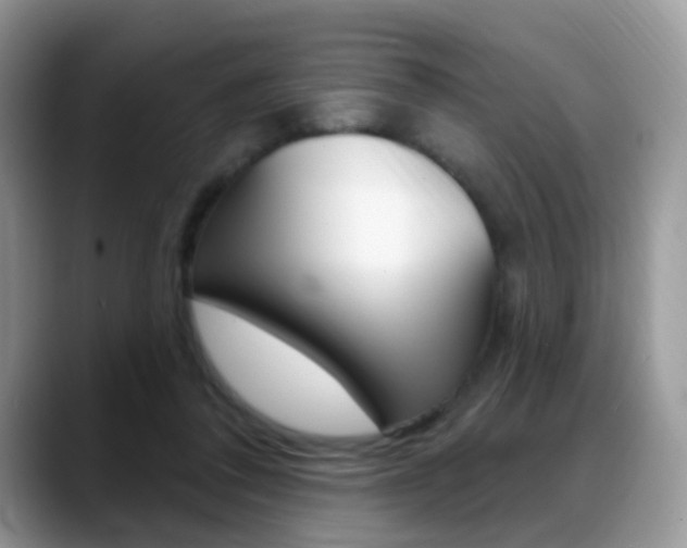 X0000088900308200706080832