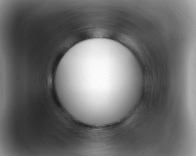 X0000088900310200706080832