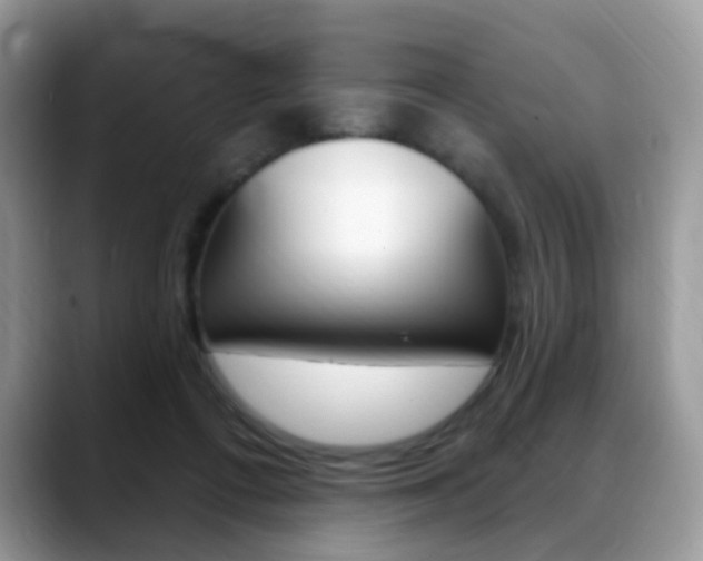 X0000088900312200706080832