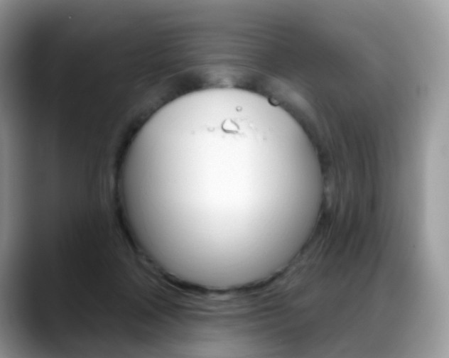 X0000088900314200706080832