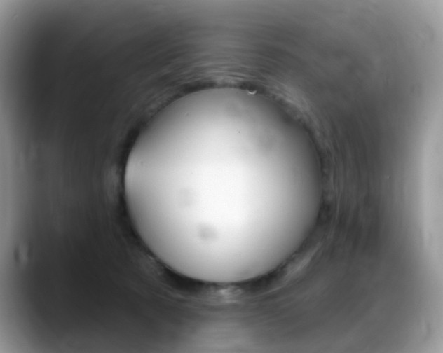X0000088900321200706080832
