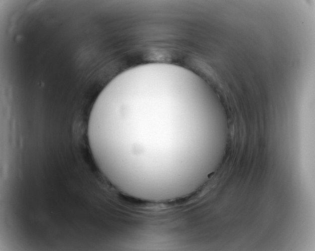 X0000088900322200706080832