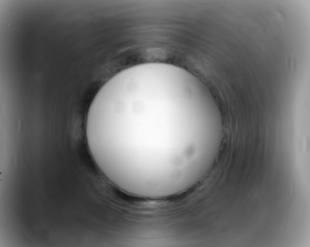X0000088900323200706080832