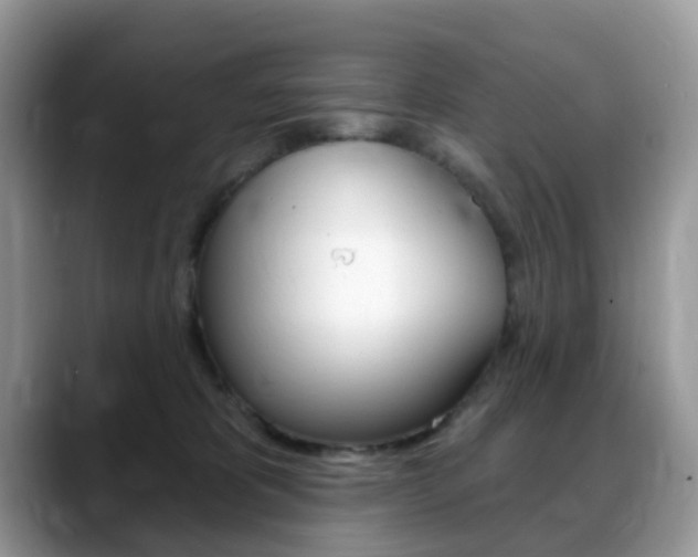 X0000088900325200706080832