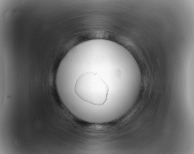 X0000088900326200706080832