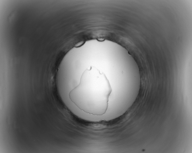X0000088900327200706080831