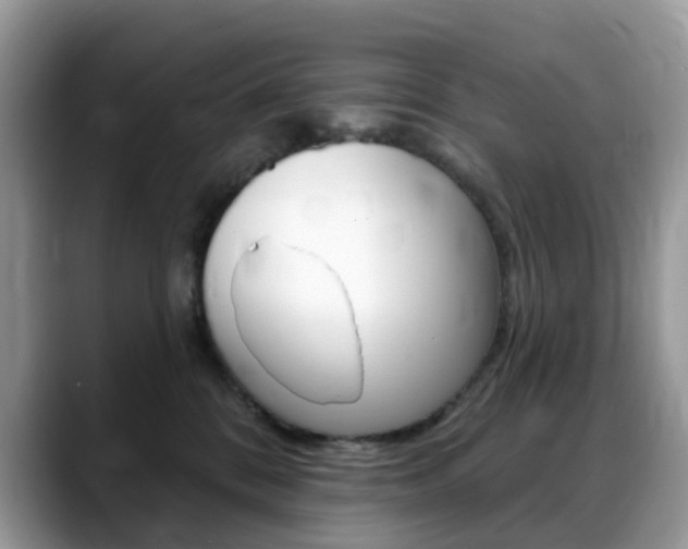 X0000088900328200706080831