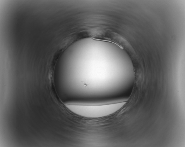 X0000088900329200706080831
