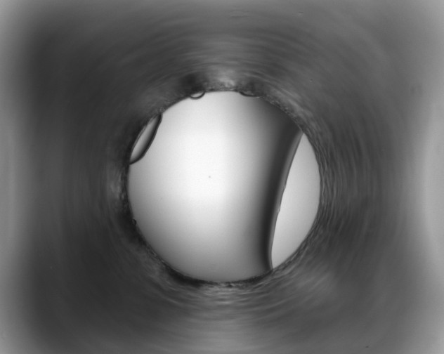 X0000088900331200706080831