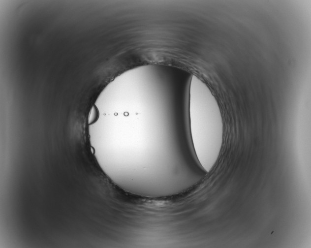 X0000088900332200706080831
