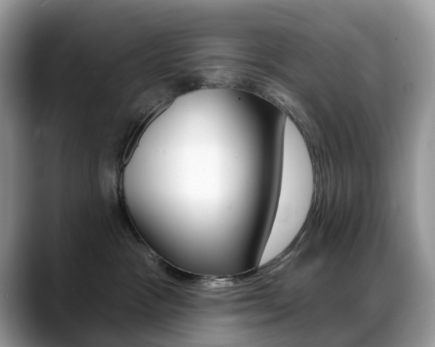 X0000088900333200706080831