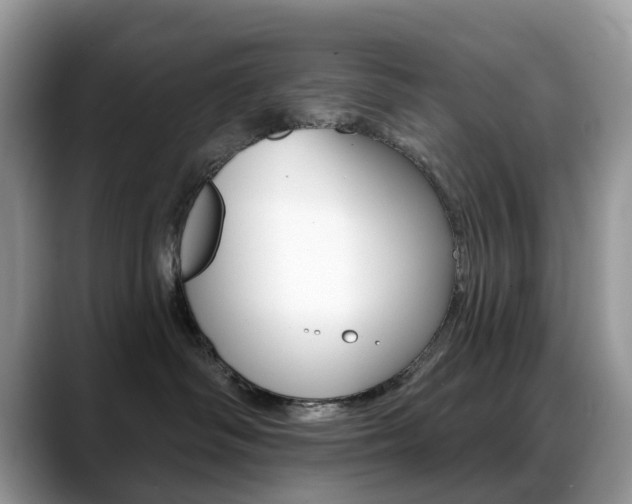 X0000088900334200706080831