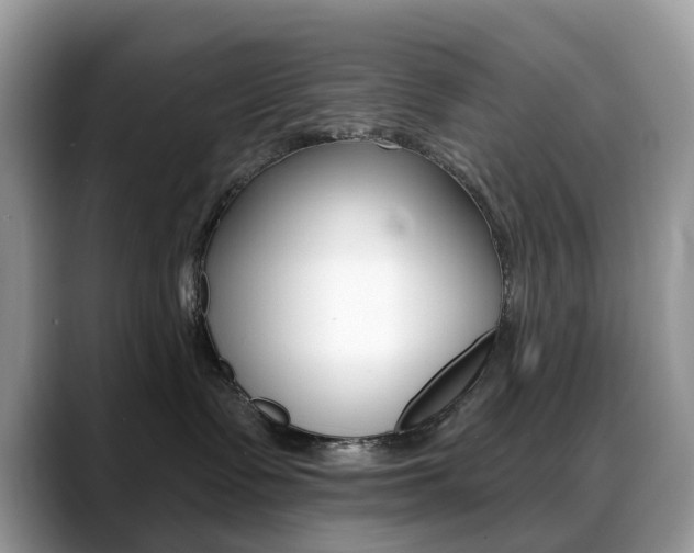X0000088900335200706080831