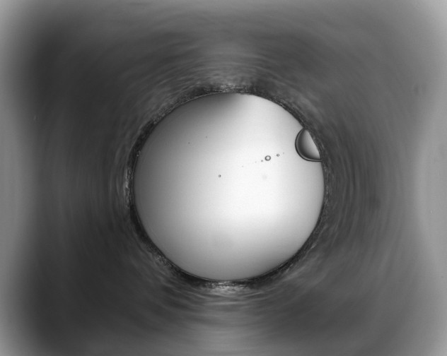 X0000088900336200706080831