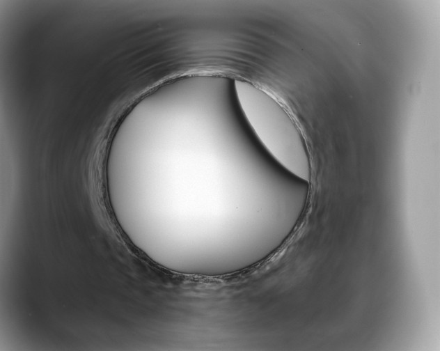 X0000088900337200706080831