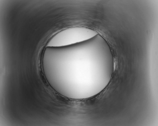 X0000088900339200706080831