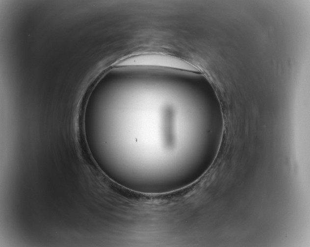 X0000088900340200706080831