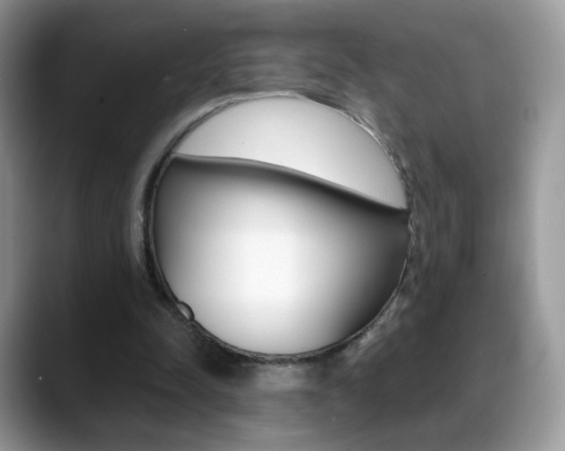 X0000088900342200706080831