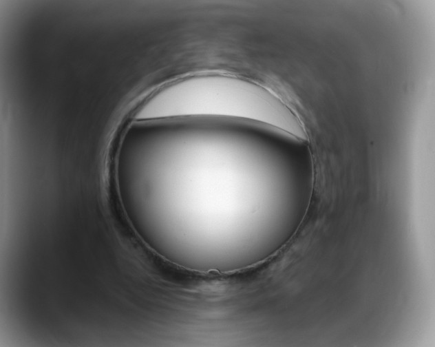 X0000088900344200706080831