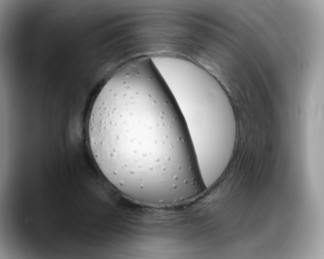 X0000088900347200706080831