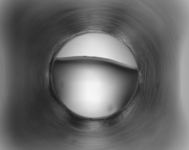 X0000088900349200706080831