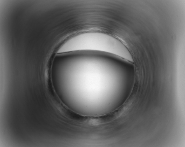 X0000088900350200706080831