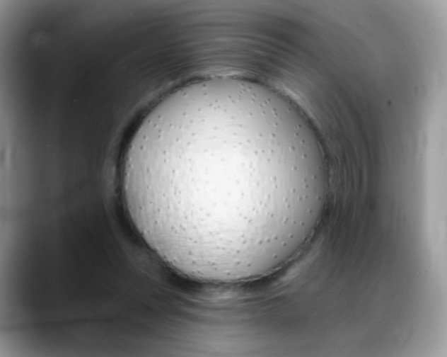 X0000088900351200706080831