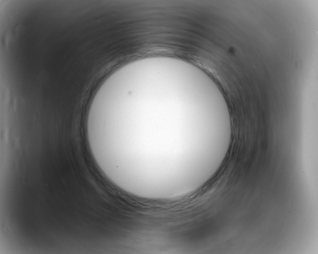 X0000088900352200706080831
