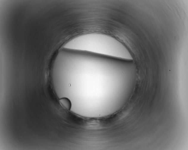 X0000088900355200706080831