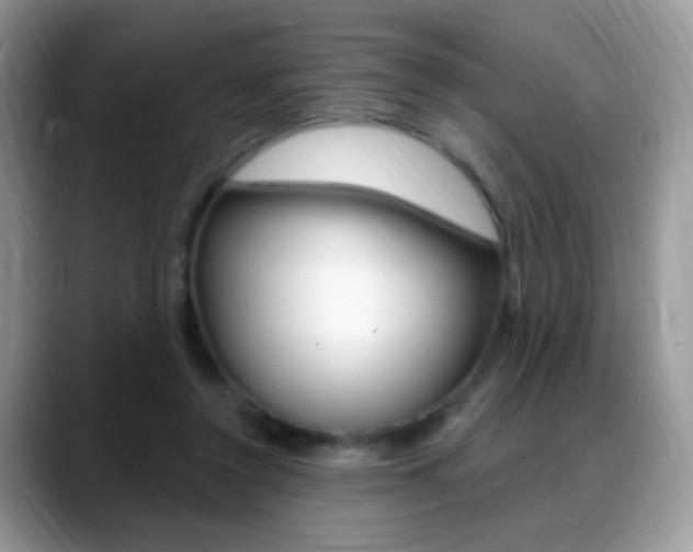 X0000088900356200706080831
