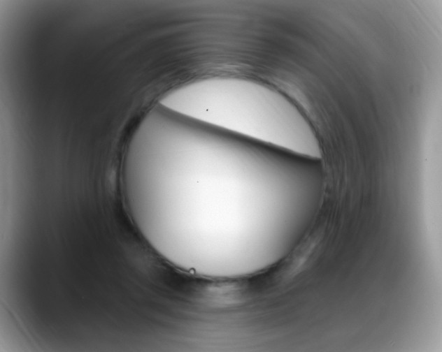 X0000088900357200706080831