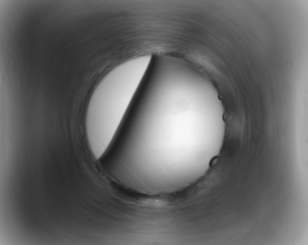 X0000088900358200706080831