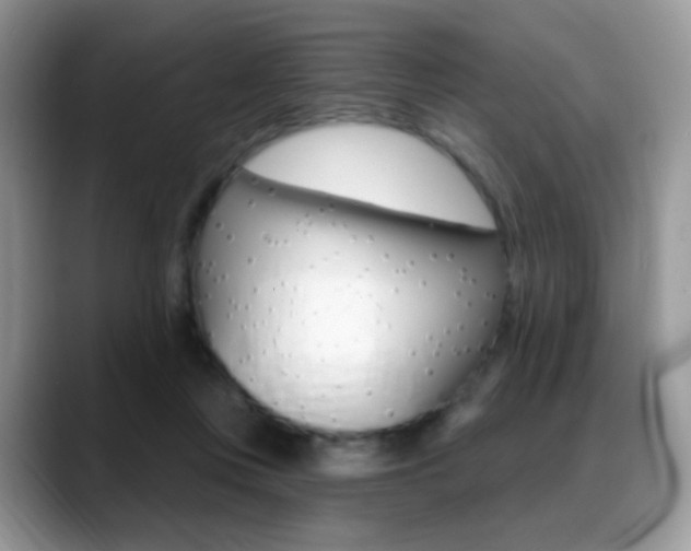X0000088900359200706080831