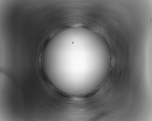 X0000088900360200706080831